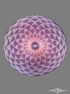 Pink Swirl Patch